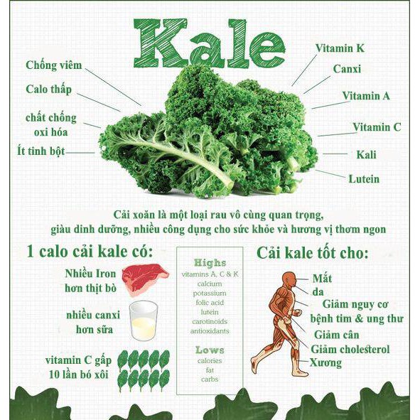 Bột cải xoăn Kale review