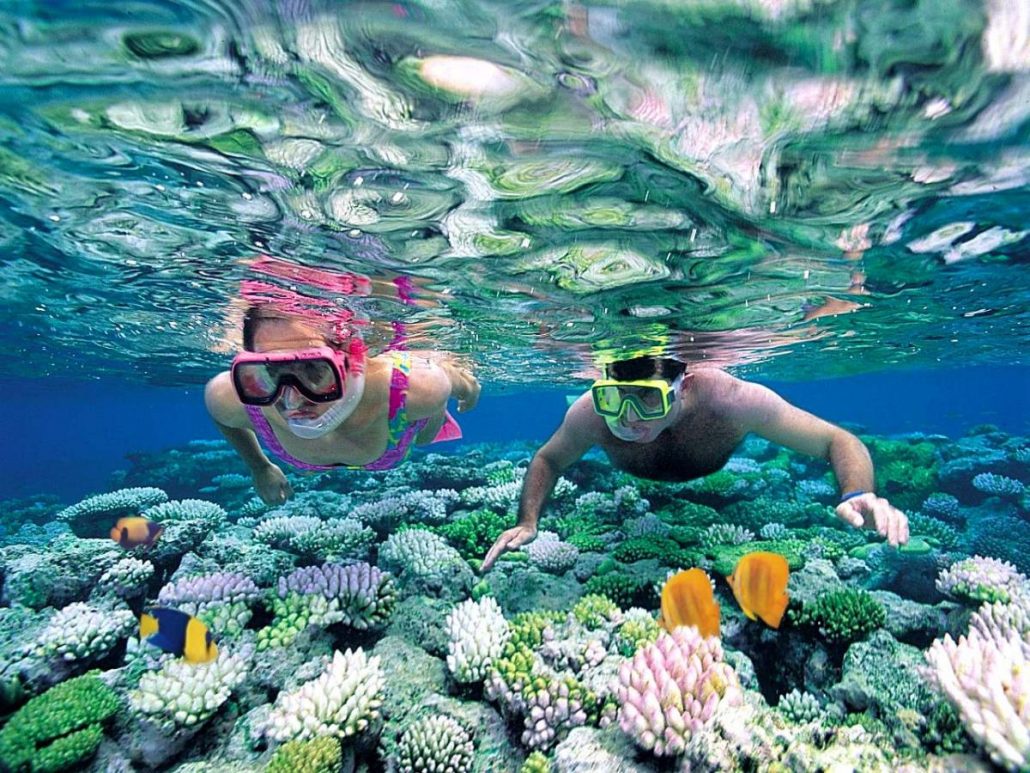 Snorkelling diving vietnam - vinh hy bay
